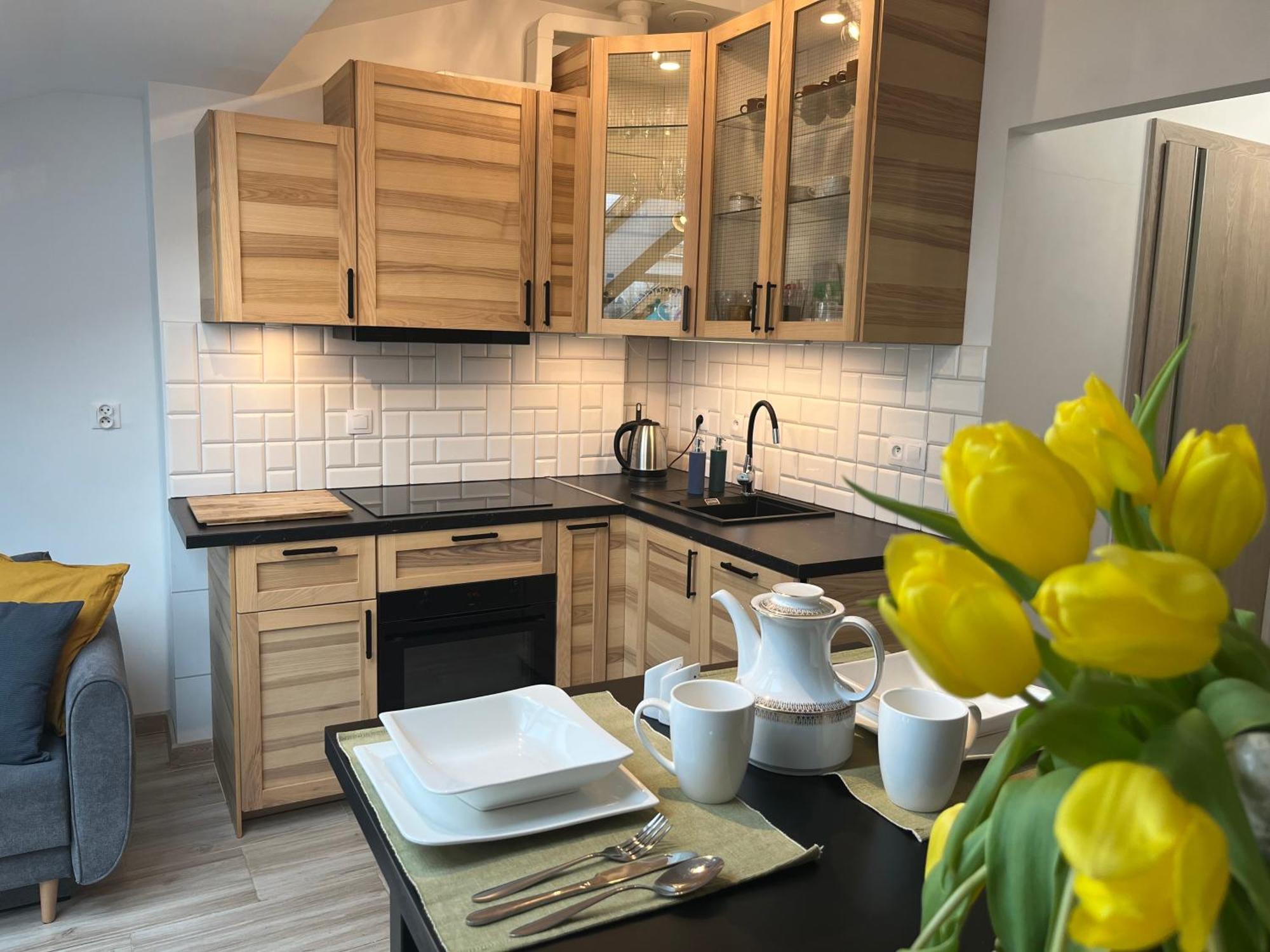 Feelhome Apartment With Kitchen Krakow Exterior photo